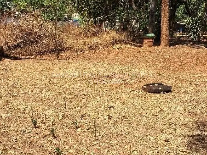 Residential Stand for Sale in Greystone Park, Harare