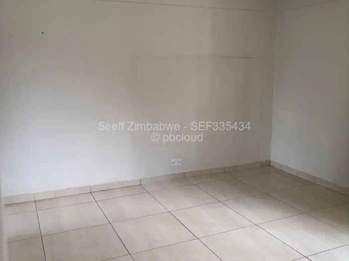 Flat/Apartment to Rent in Avenues