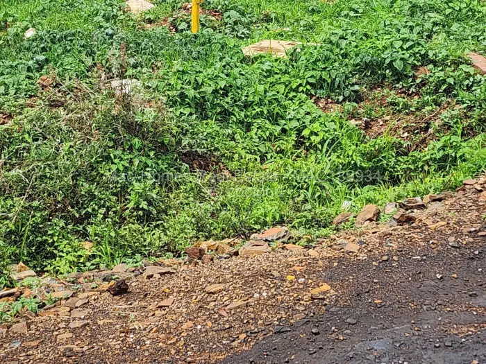 Residential Stand for Sale in Ashdown Park, Harare