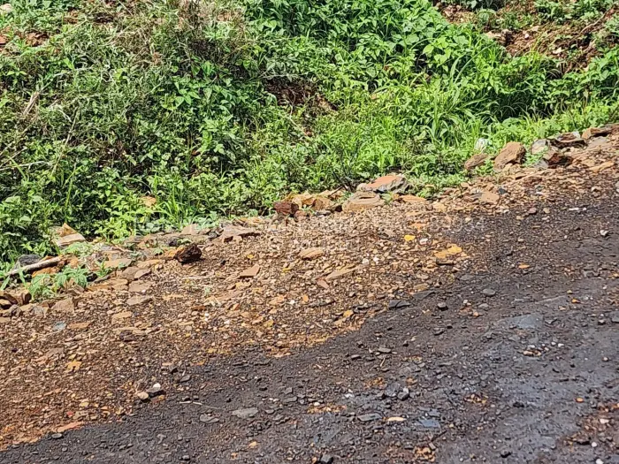 Residential Stand for Sale in Ashdown Park, Harare