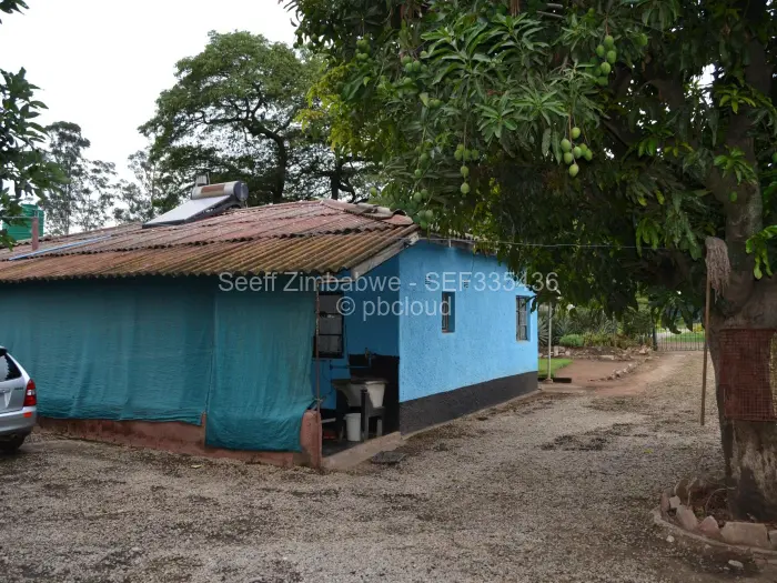 3 Bedroom House for Sale in Arcadia, Harare