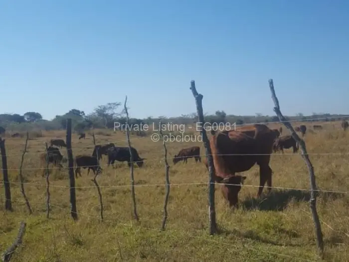 Farm/Plot for Sale in Mvuma, Mvuma