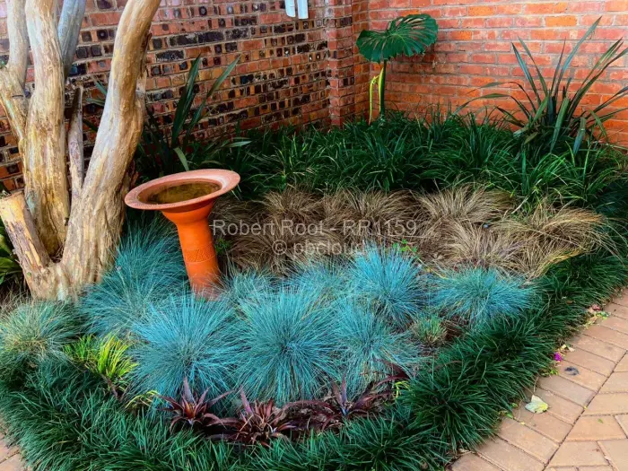 2 Bedroom House to Rent in Highlands, Harare