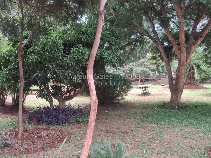 Townhouse/Cluster to Rent in Borrowdale, Harare