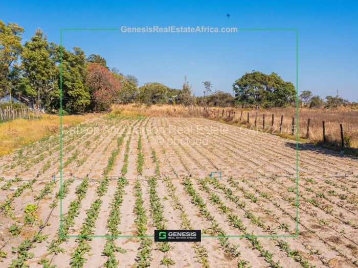 Farm/Plot for Sale in Ruwa, Ruwa