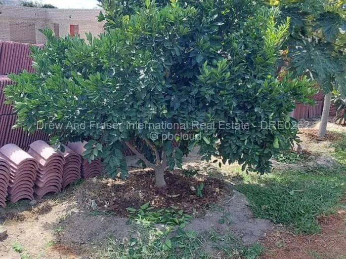 3 Bedroom House for Sale in Waterfalls, Harare