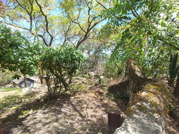 5 Bedroom House to Rent in Sentosa