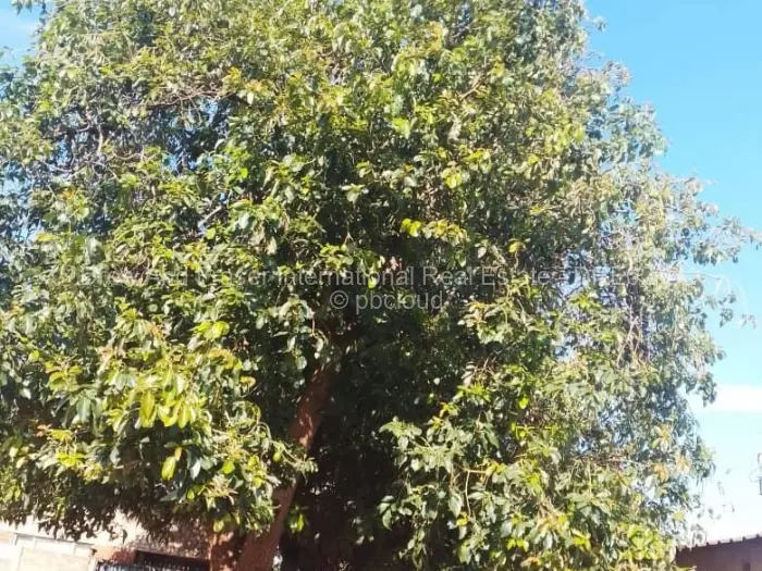 6 Bedroom House for Sale in Kuwadzana, Harare