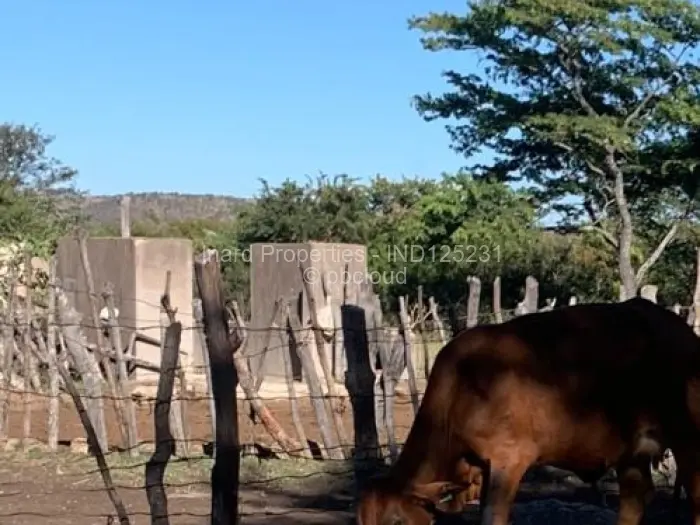 Farm/Plot for Sale in Mvurwi, Mvurwi