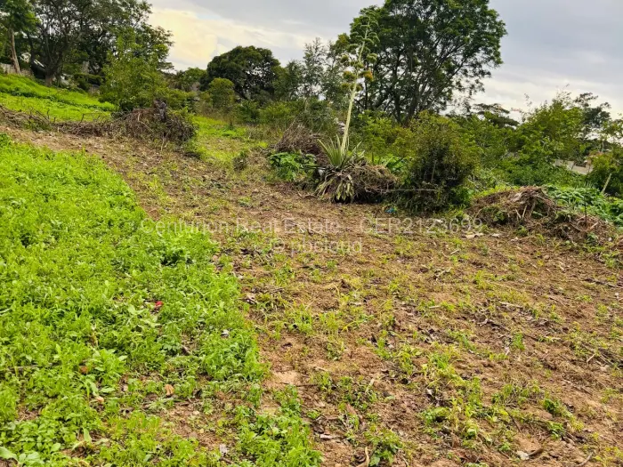 Residential Stand for Sale in Mabelreign, Harare