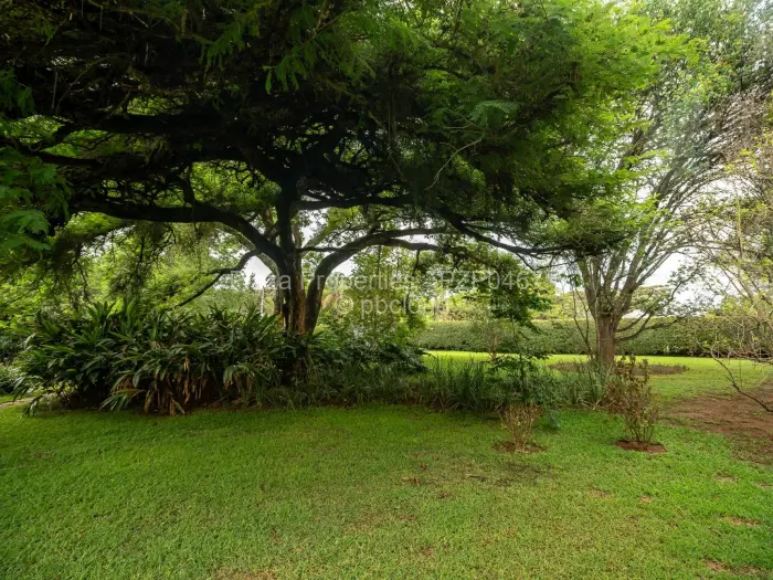 3 Bedroom House to Rent in Glen Lorne, Harare