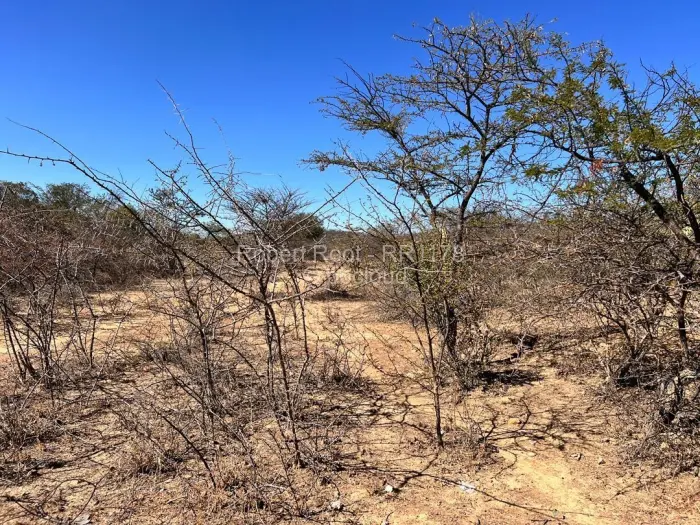 Residential Stand for Sale in Manningdale, Bulawayo