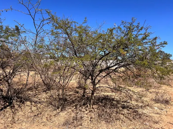 Residential Stand for Sale in Manningdale, Bulawayo