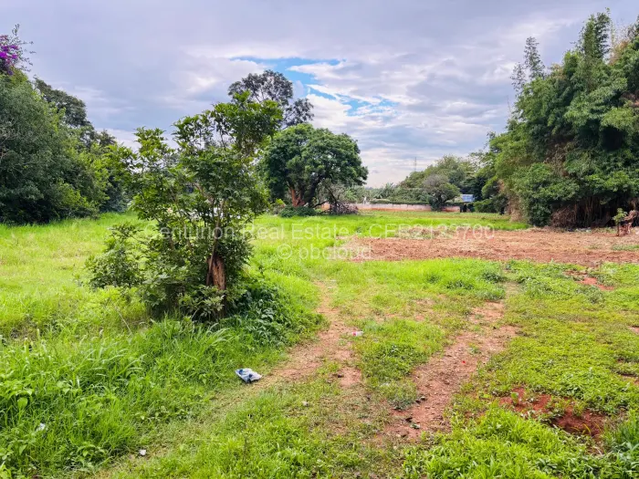 5 Bedroom House to Rent in The Grange, Harare