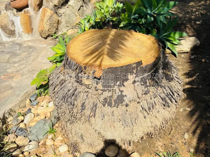 5 Bedroom House to Rent in The Grange, Harare