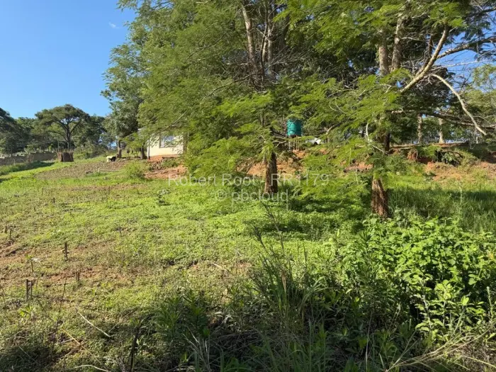 Residential Stand for Sale in Helensvale, Harare