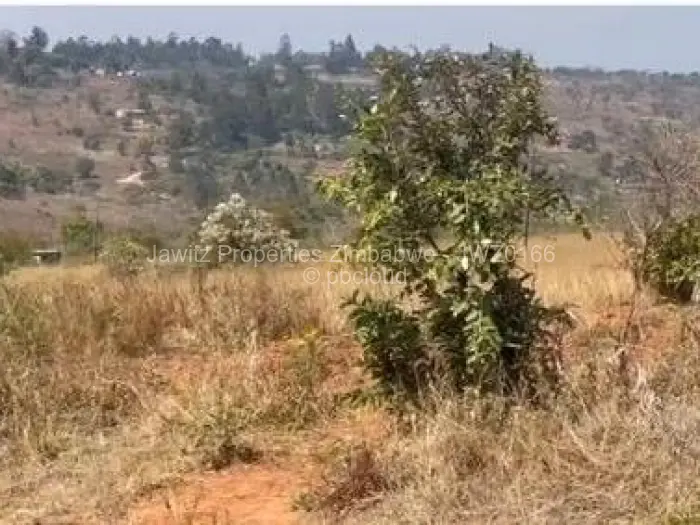 Commercial Stand for Sale in Chipinge, Chipinge