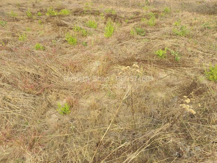 Residential Stand for Sale in Landyview Park, Marondera