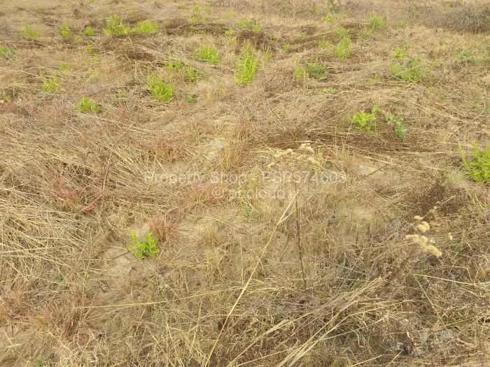 Residential Stand for Sale in Landyview Park, Marondera