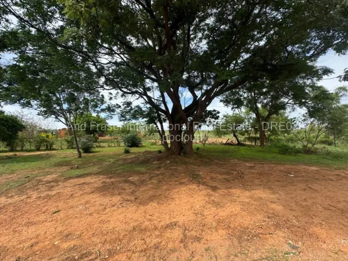 Commercial Stand for Sale in Chinhoyi, Chinhoyi