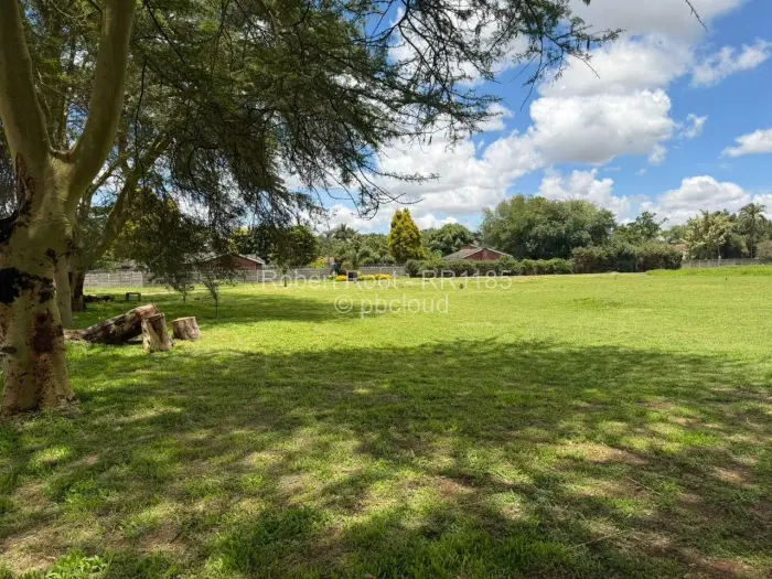 Commercial Stand for Sale in Westgate, Harare