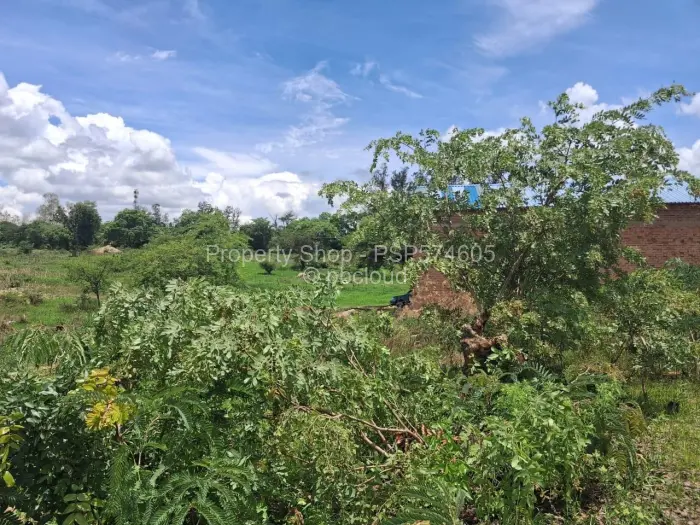 Commercial Stand for Sale in Karoi, Karoi