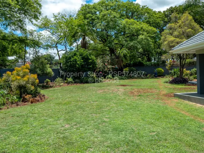 Office to Rent in Alexandra Park