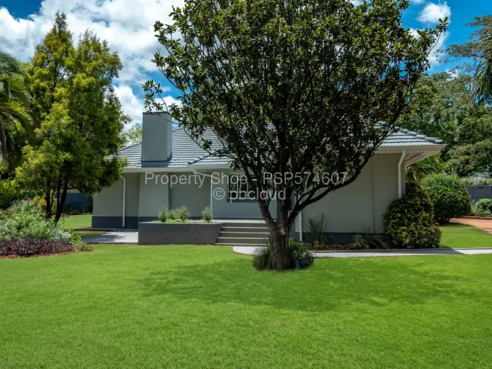 Office to Rent in Alexandra Park