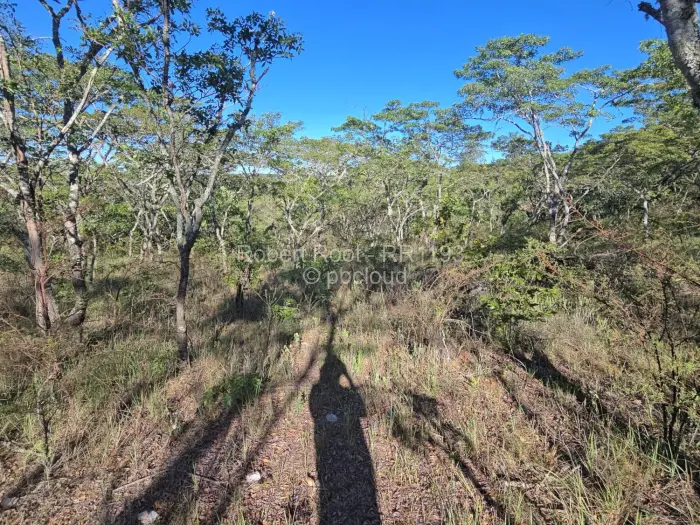 Residential Stand for Sale in Juliasdale, Juliasdale