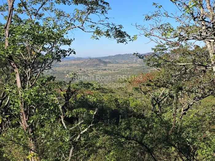Residential Stand for Sale in Juliasdale, Juliasdale