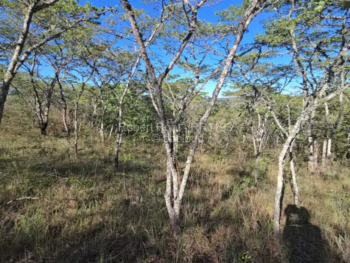 Residential Stand for Sale in Juliasdale, Juliasdale