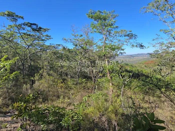 Residential Stand for Sale in Juliasdale, Juliasdale