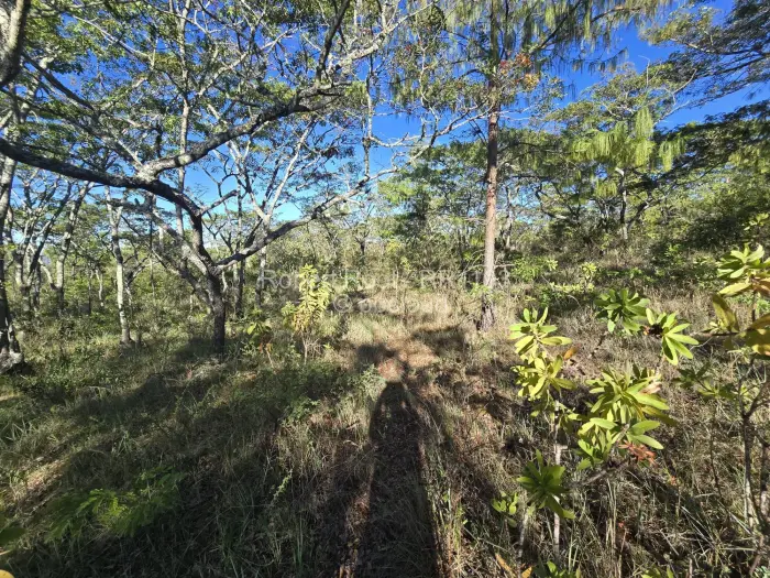 Residential Stand for Sale in Juliasdale, Juliasdale