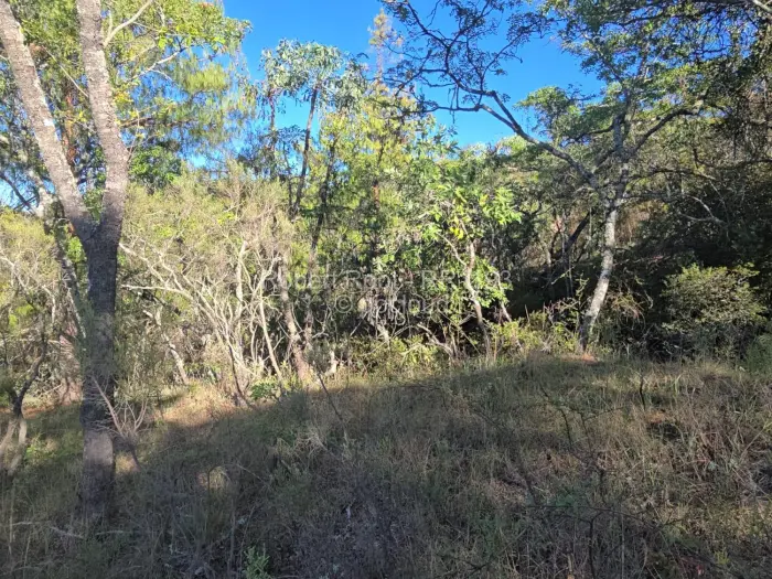 Residential Stand for Sale in Juliasdale, Juliasdale