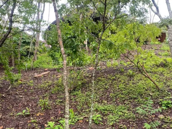 4 Bedroom House to Rent in Glen Lorne, Harare