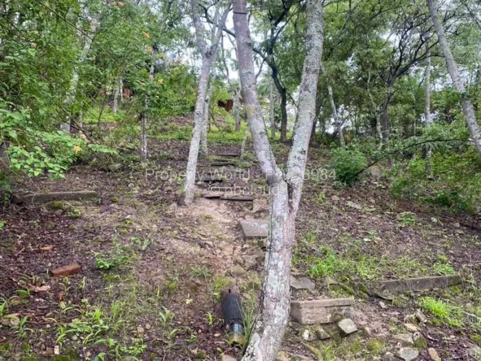 4 Bedroom House to Rent in Glen Lorne, Harare