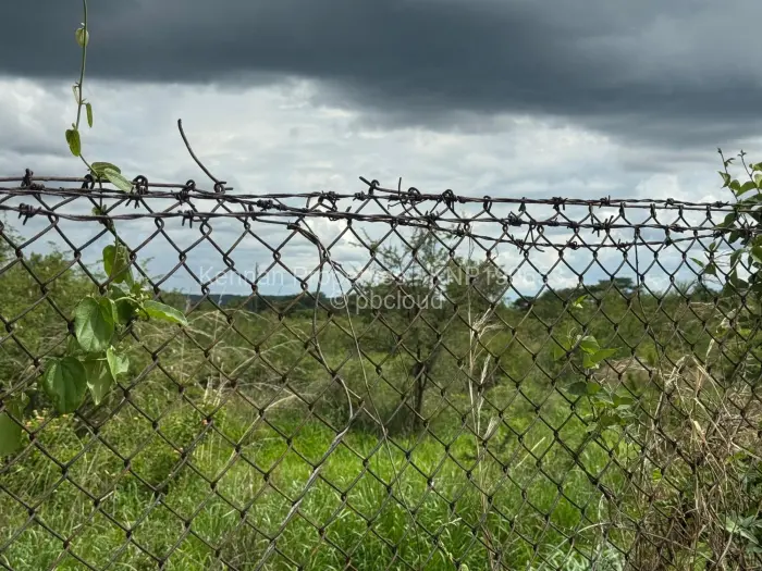 Warehouse/Industrial for Sale in Kadoma, Kadoma