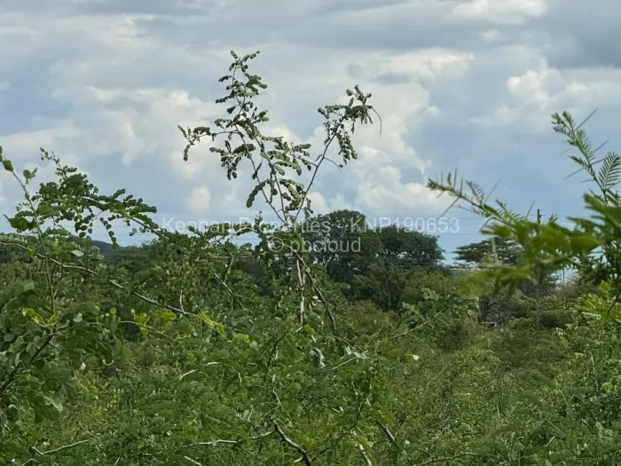 Warehouse/Industrial for Sale in Kadoma, Kadoma