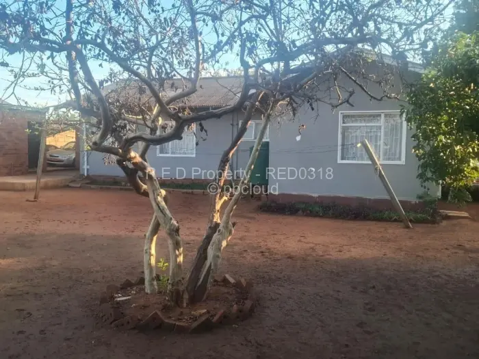 House for Sale in Southwold, Bulawayo