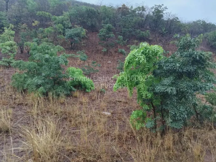 Residential Stand for Sale in Kambuzuma, Harare