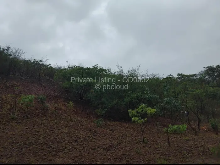 Residential Stand for Sale in Kambuzuma, Harare