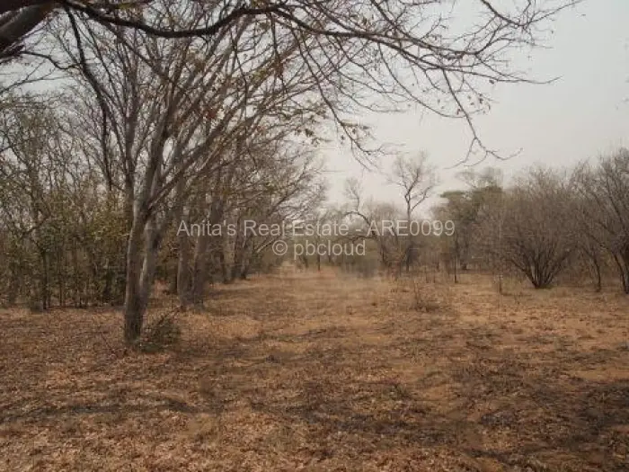 Farm/Plot for Sale in Lupane, Lupane