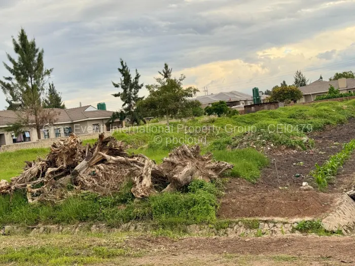 Commercial Stand for Sale in Arlington, Harare