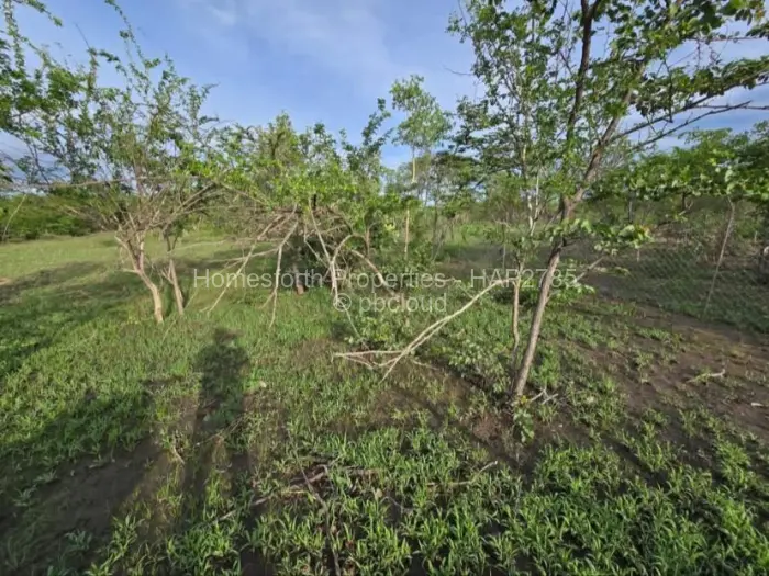 Farm/Plot for Sale in Kadoma, Kadoma