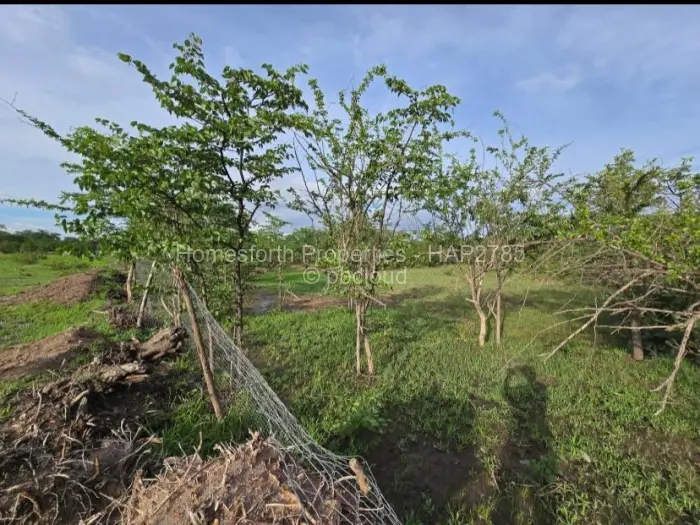 Farm/Plot for Sale in Kadoma, Kadoma