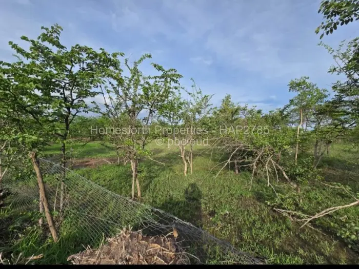 Farm/Plot for Sale in Kadoma, Kadoma