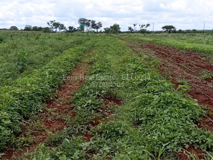 Farm/Plot for Sale in Montrose, Gweru