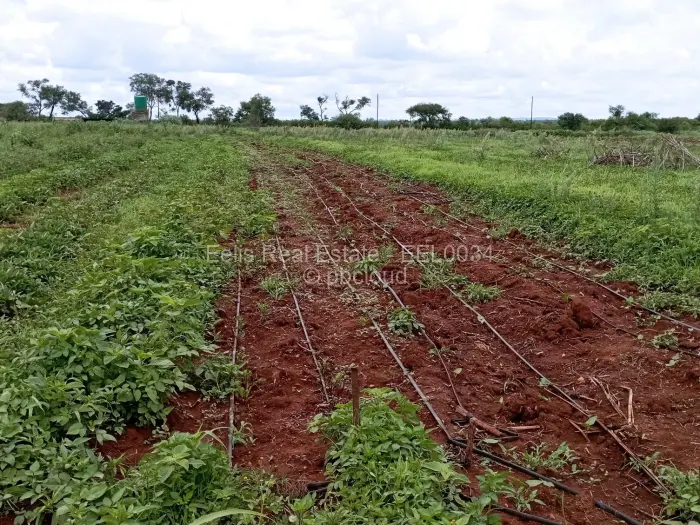 Farm/Plot for Sale in Montrose, Gweru