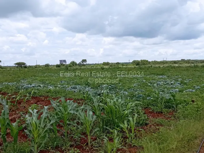 Farm/Plot for Sale in Montrose, Gweru