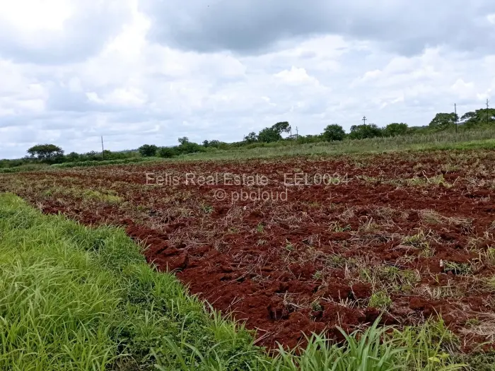 Farm/Plot for Sale in Montrose, Gweru